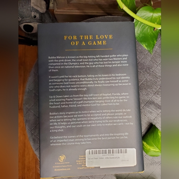 Up and Down by Bubba Watson - Picture 2 of 5